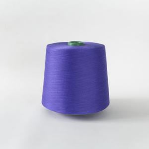 Socks yarn Dream Purple GQY151