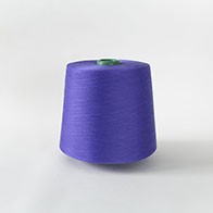 Socks yarn Dream Purple GQY151